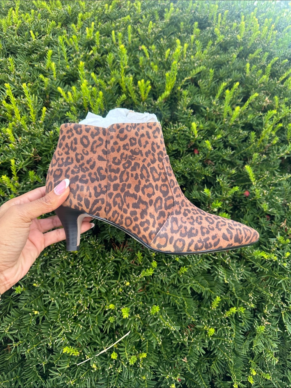 Clarks Leopard Print Pointed Ankle Booties - Brown/Black
